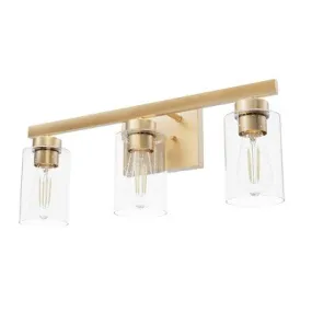 3-Light Hartland Seeded Glass Bathroom Vanity Wall Light Fixture Alturas Gold - Hunter Fan