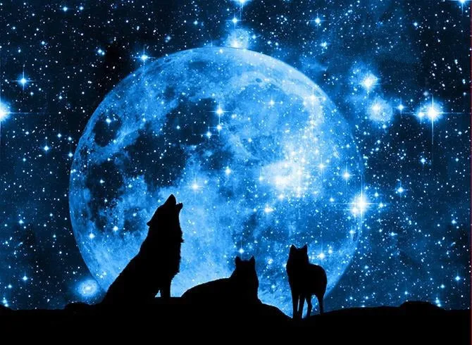 3D Wolf and Galaxy Printed Cotton Luxury 4-Piece Blue Bedding Sets/Duvet Covers