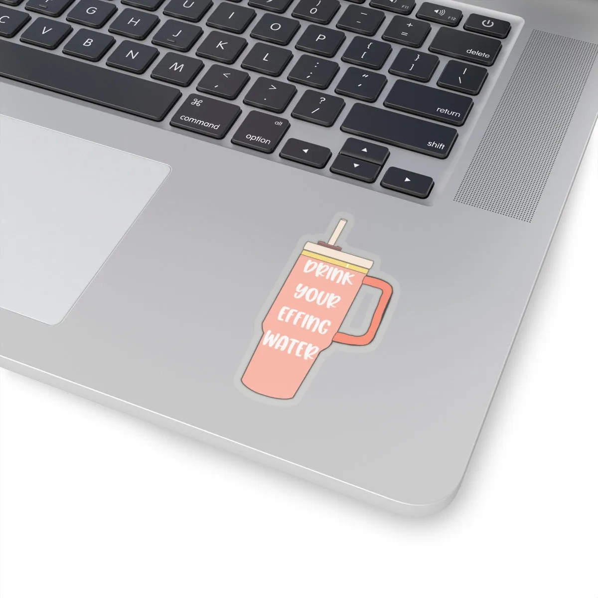 Drink Your Effing Water Peach Sticker, Water Bottle Kiss-Cut Sticker