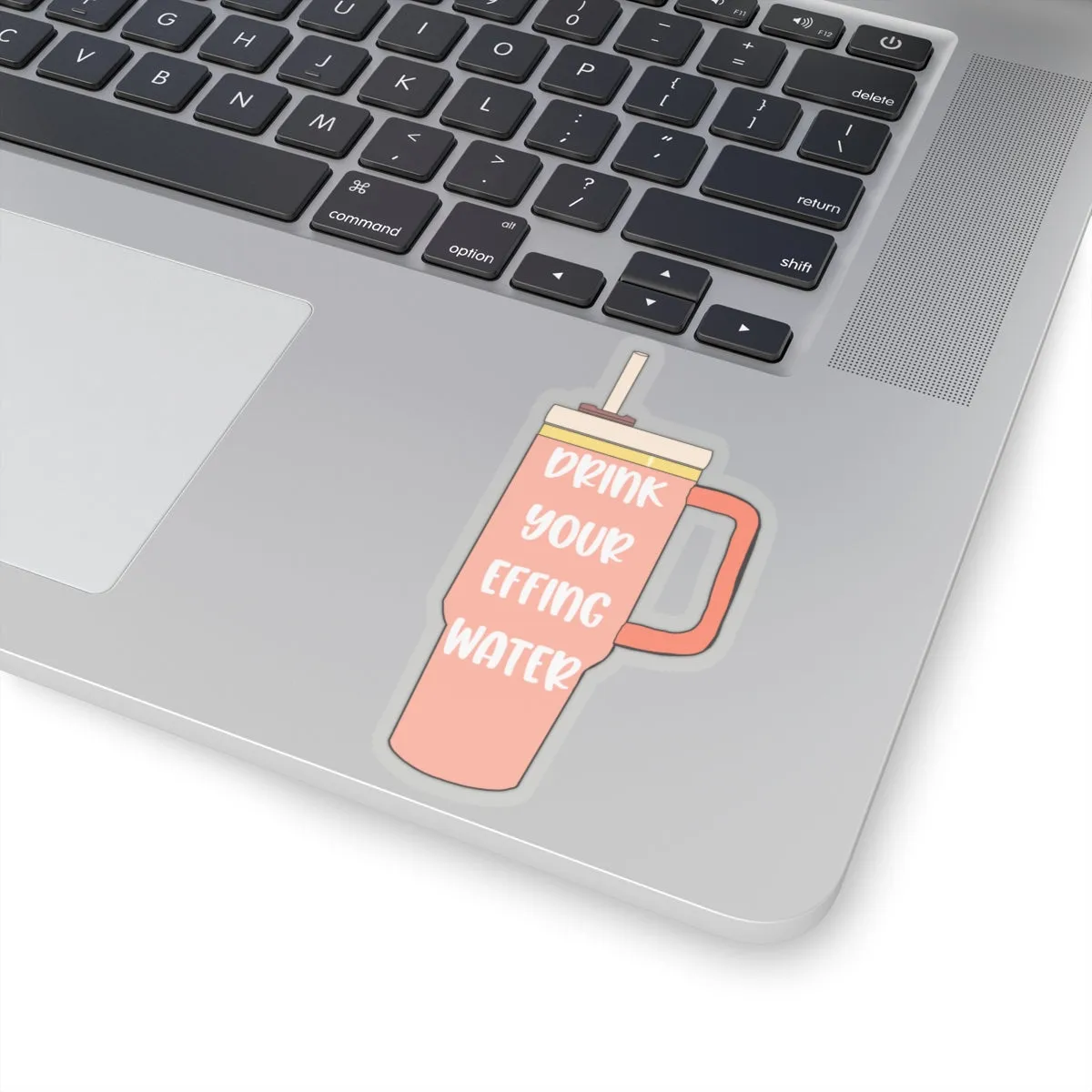 Drink Your Effing Water Peach Sticker, Water Bottle Kiss-Cut Sticker