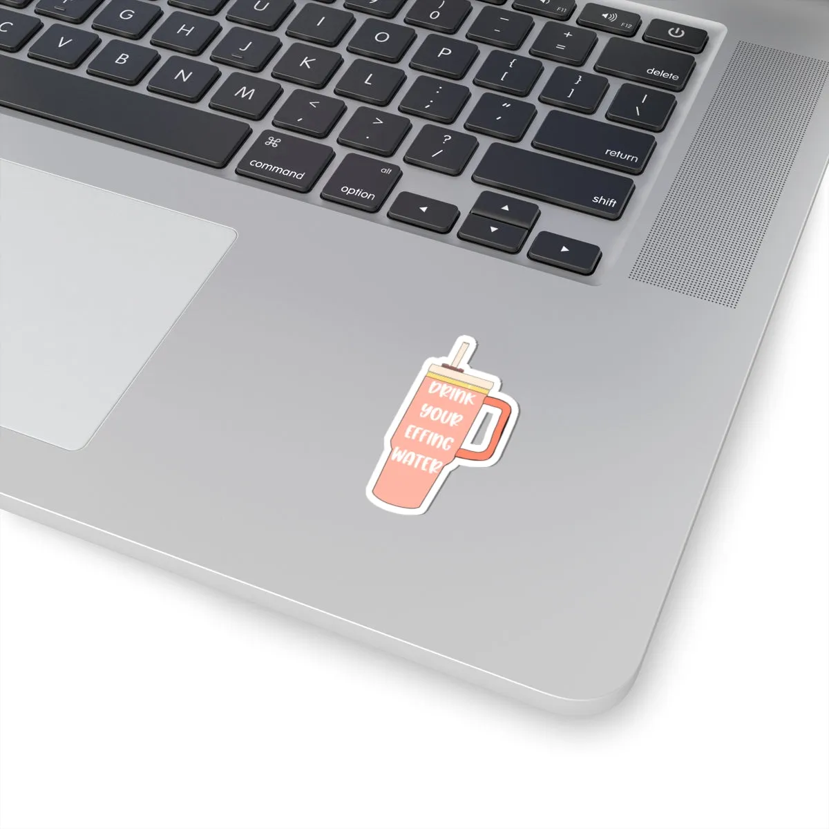 Drink Your Effing Water Peach Sticker, Water Bottle Kiss-Cut Sticker