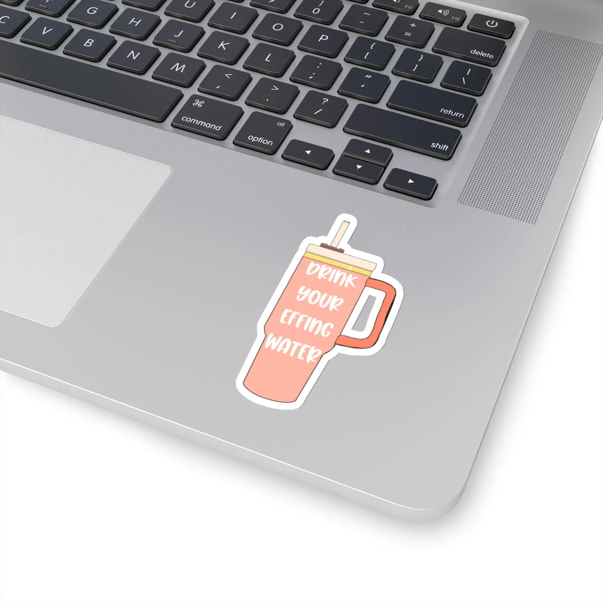 Drink Your Effing Water Peach Sticker, Water Bottle Kiss-Cut Sticker