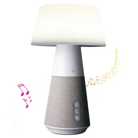 Entertain LED Speaker Light