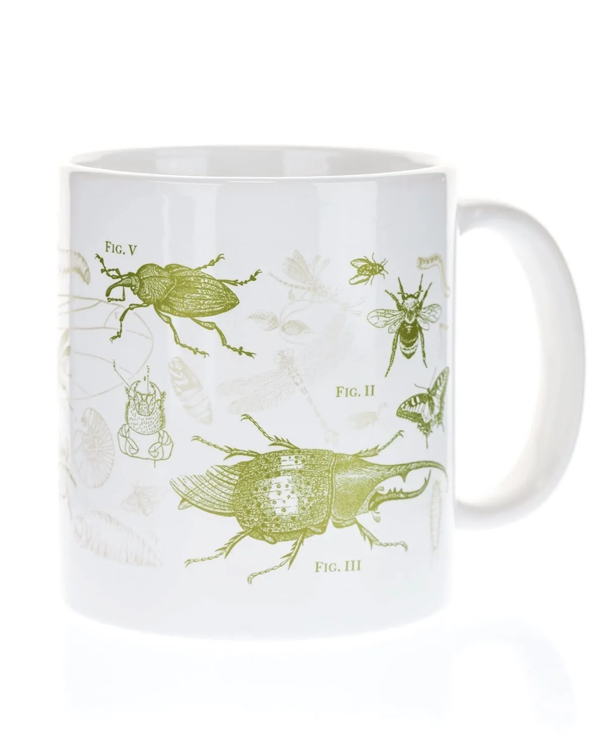 Insects 20 oz Mega Mug