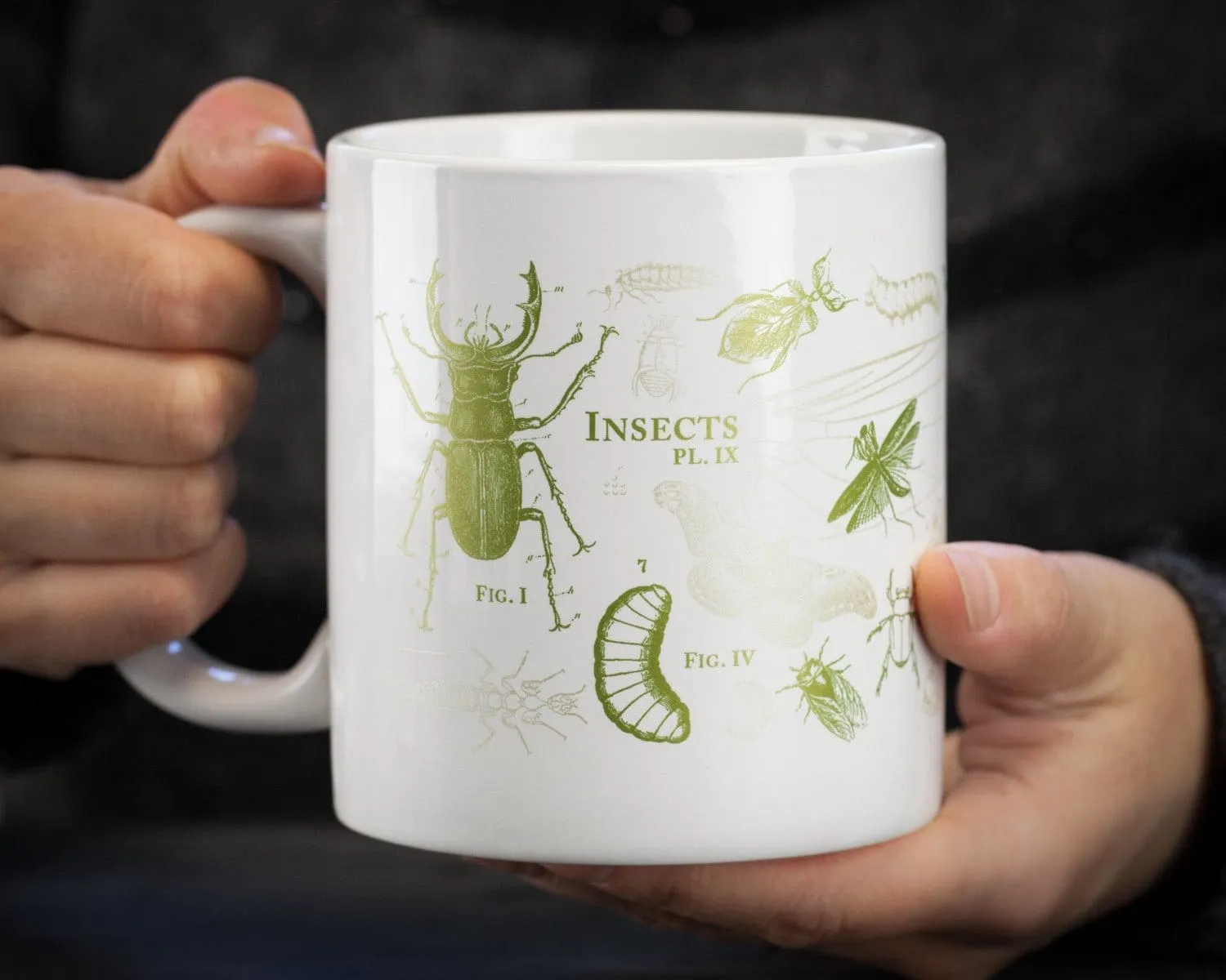 Insects 20 oz Mega Mug