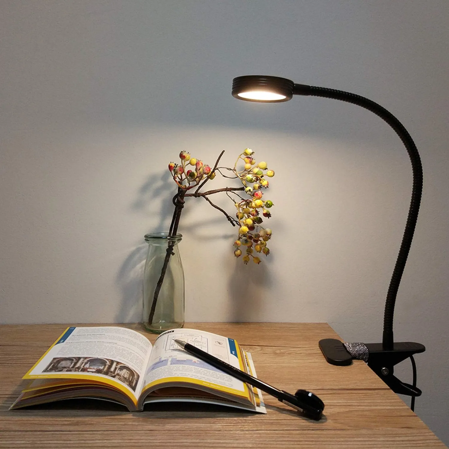 Lepower-tec Flexible Clip On Desk Light with USB Charging