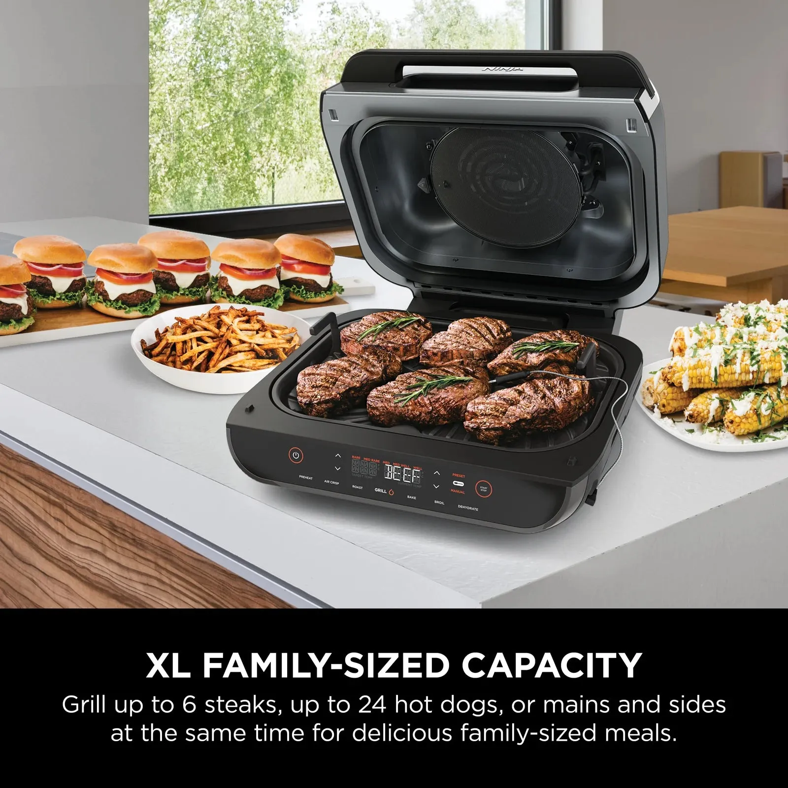 Ninja Foodi Smart XL Grill & Air Fryer