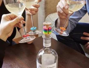 Rainbow Wine Rings & Stopper