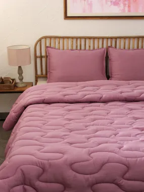 Rhubarb Purple Comforter