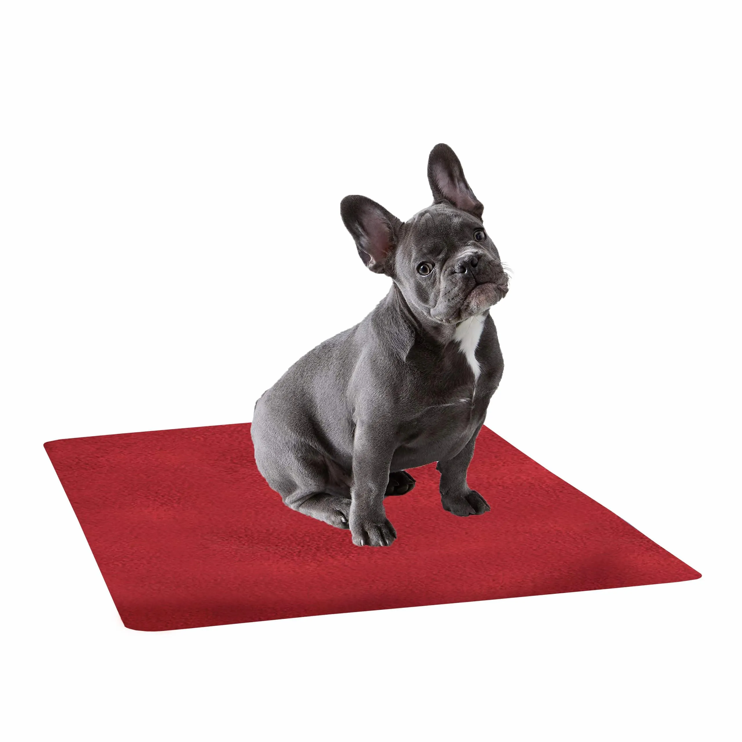 Waterproof Pet Training Puppy Pad (Medium)