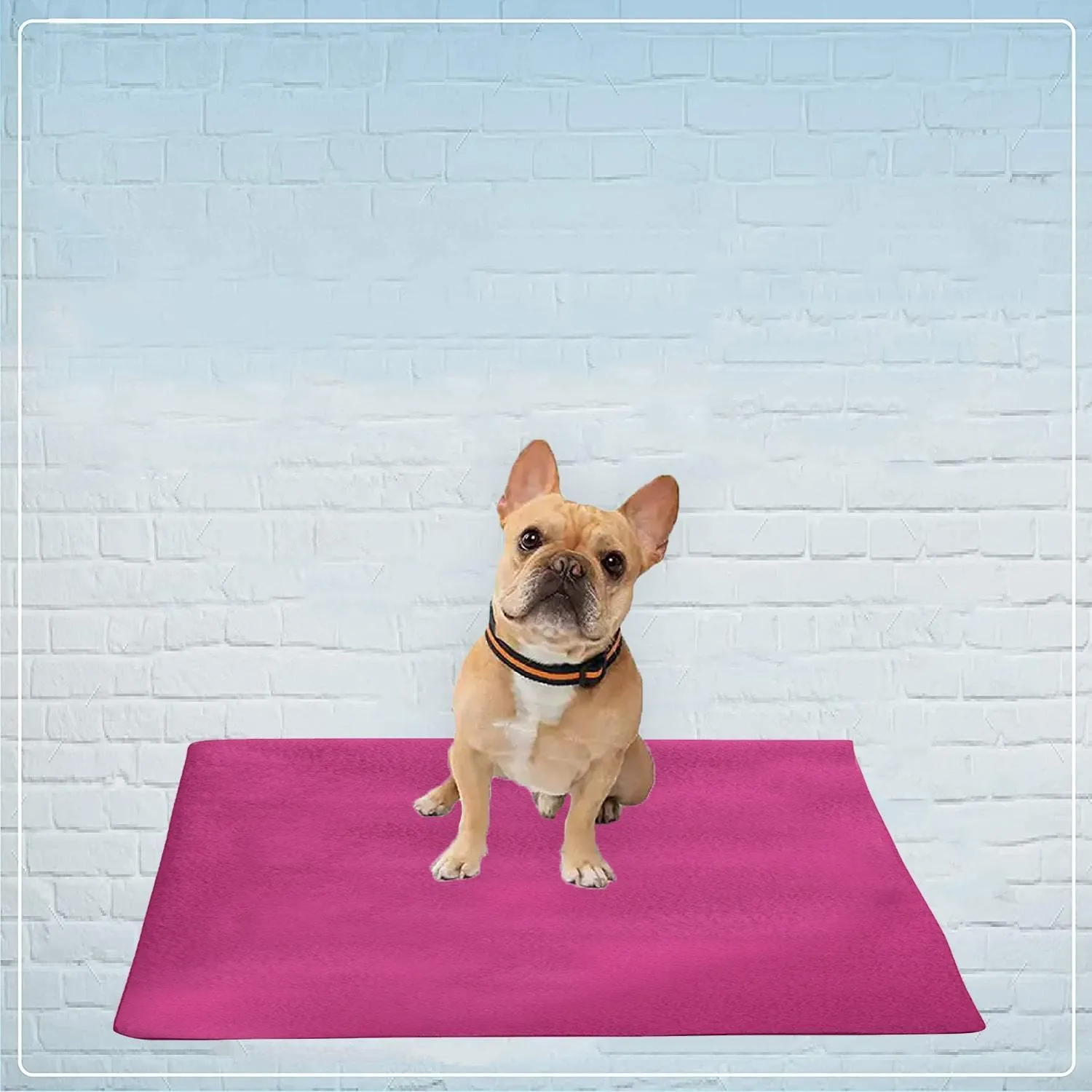 Waterproof Pet Training Puppy Pad (Medium)