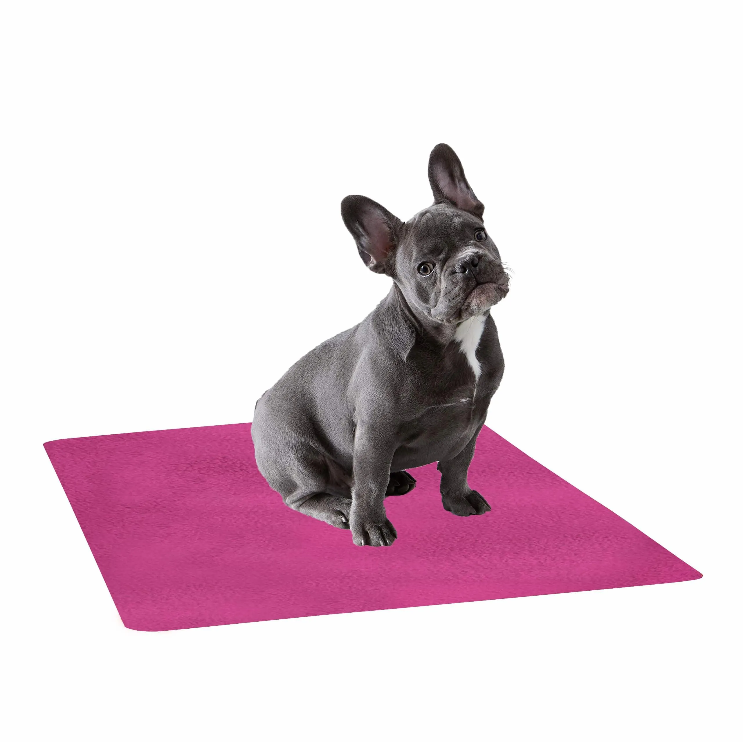 Waterproof Pet Training Puppy Pad (Medium)